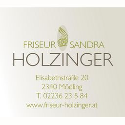  www.friseur-holzinger.at