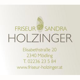 www.friseur-holzinger.at